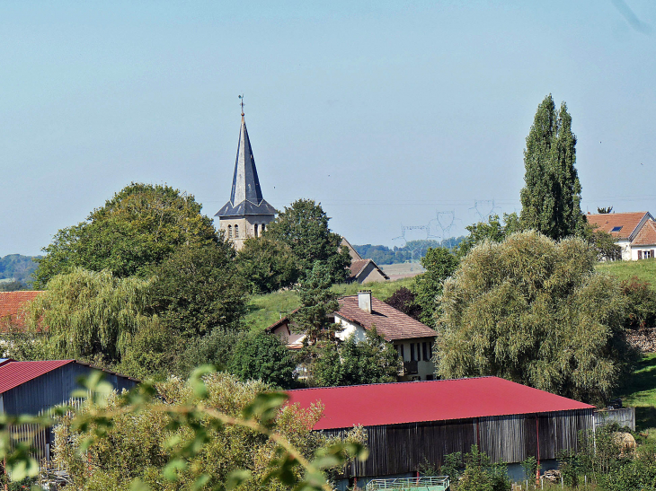 Vue sur le village - Domèvre-sur-Durbion