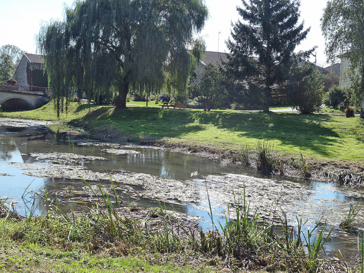 Les rives du Durbion - Domèvre-sur-Durbion