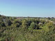 fermes et maisons dans la campagne