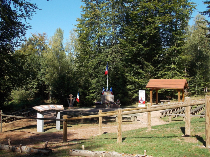 Vue d'ensemble du site du Maquis du Haut du Bois  - Éloyes