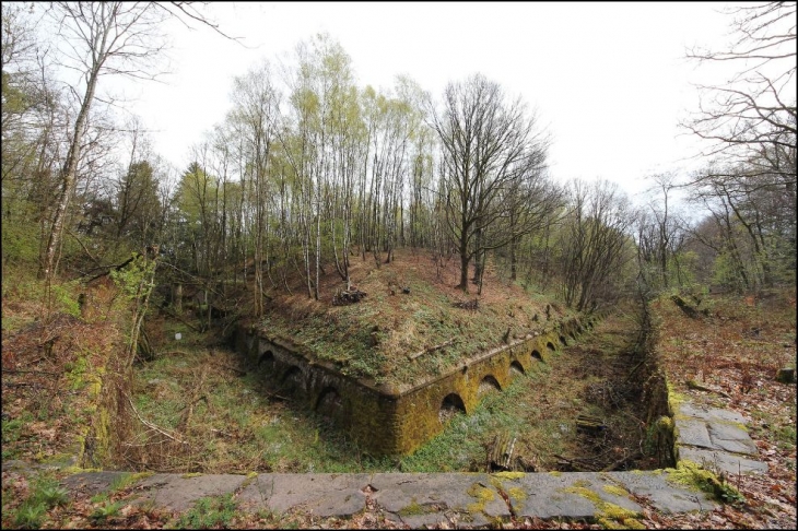 Ancien fort de la mouche - 1876-77 - Angle Nord/Ouest  - Épinal