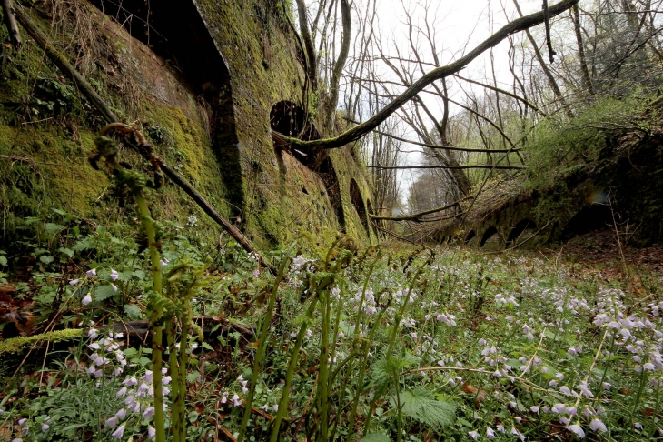 Fort de la Mouche - fossés (escarpe et contre escarpe Est) - Épinal