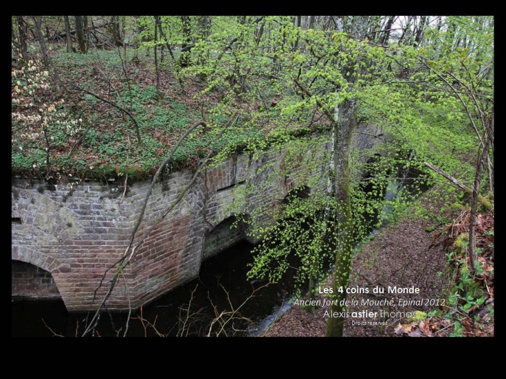 Fort de la Mouche - Epinal - Épinal