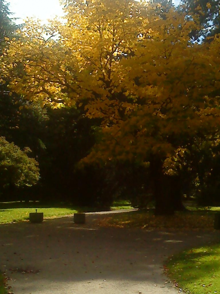 Promenade du Cours en octobre  - Épinal