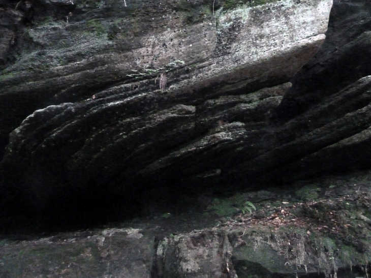 Le vallon druidique Saint Martin : la grotte - Escles