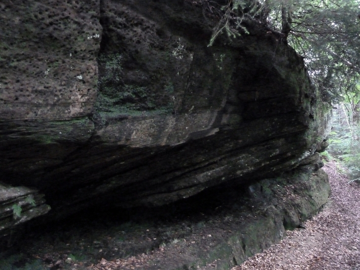 Le vallon druidique Saint Martin : la grotte - Escles
