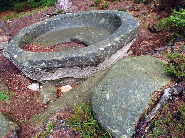 Le vallon druidique Saint Martin :la cuvée des fées - Escles