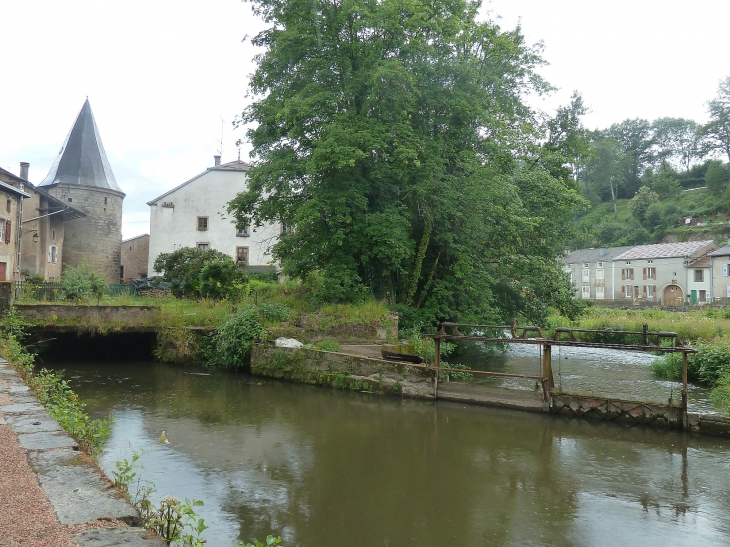 Les rives du Coney - Fontenoy-le-Château