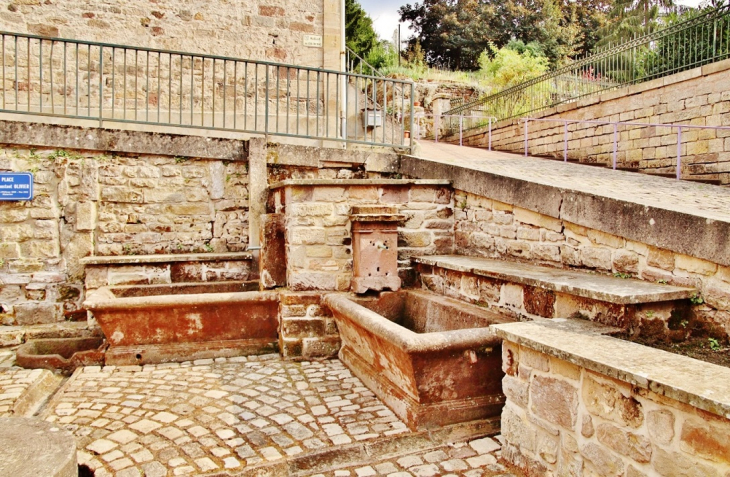 Le Lavoir - Fontenoy-le-Château