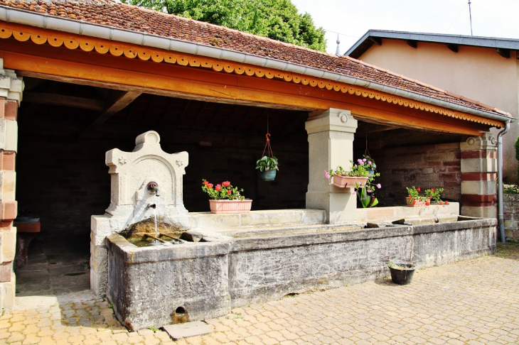 Lavoir - Frain