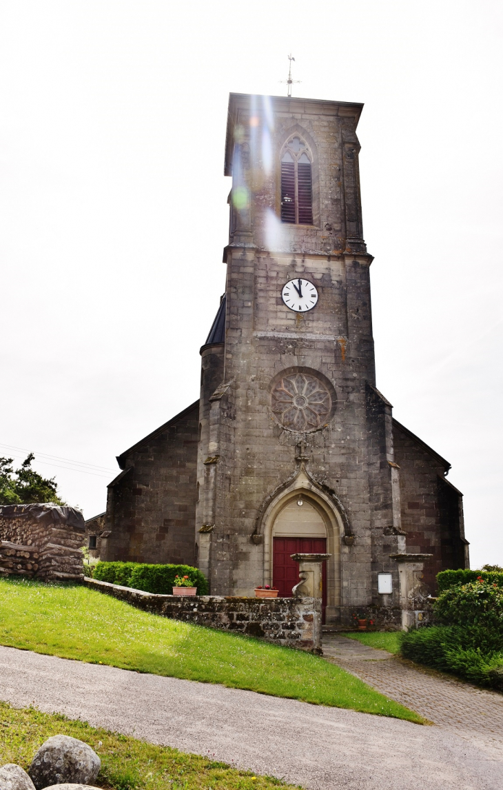 ***église St Martin - Frain