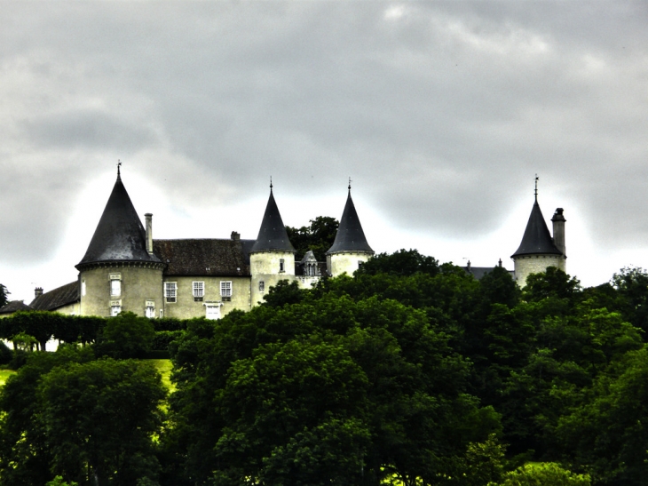 Chateau de Bourlémont - Frebécourt