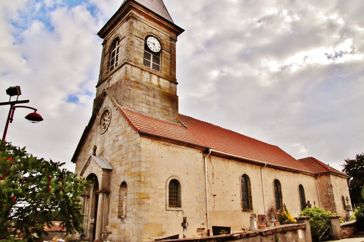  église Saint-Pierre - Fremifontaine