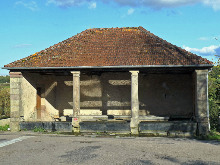 Le lavoir - Frizon