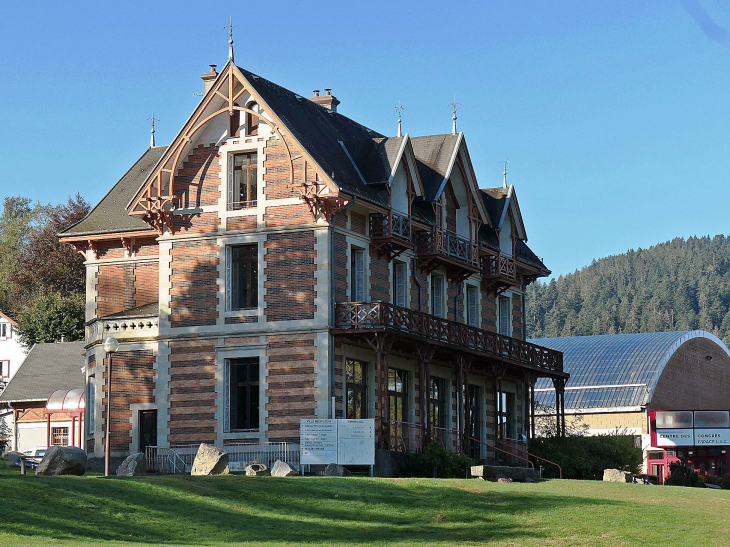 La villa Montplaisir près du lac - Gérardmer