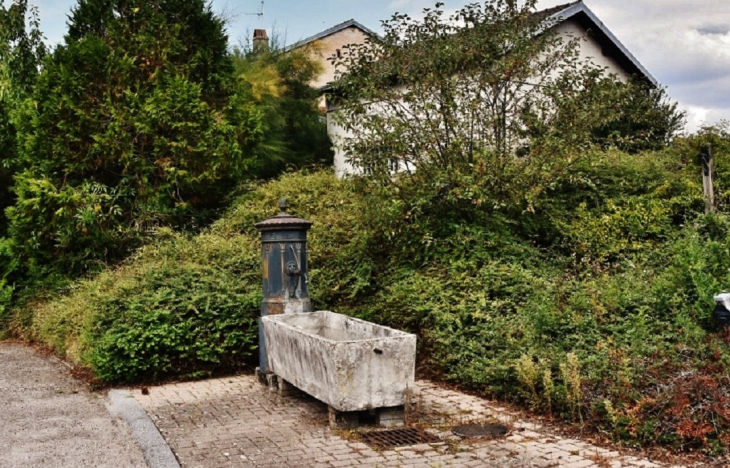 Fontaine - Girecourt-sur-Durbion