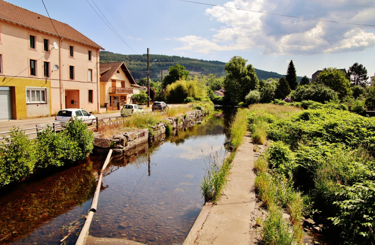 La Vologne - Granges-sur-Vologne