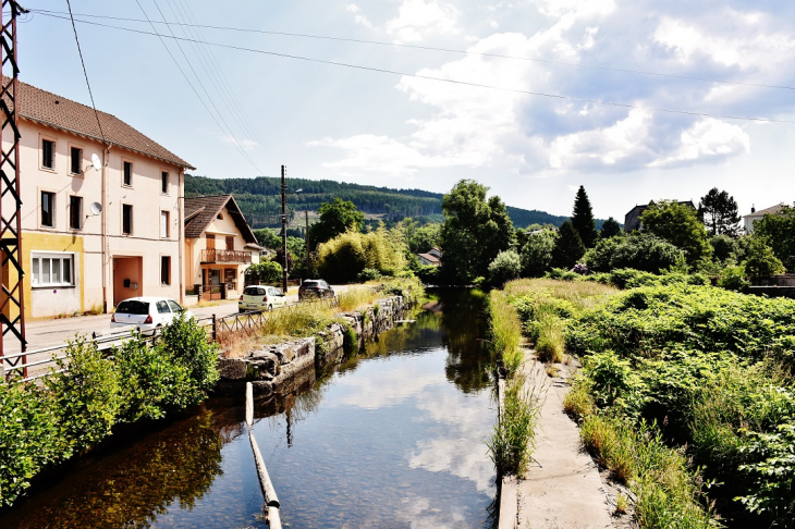 La Vologne - Granges-sur-Vologne