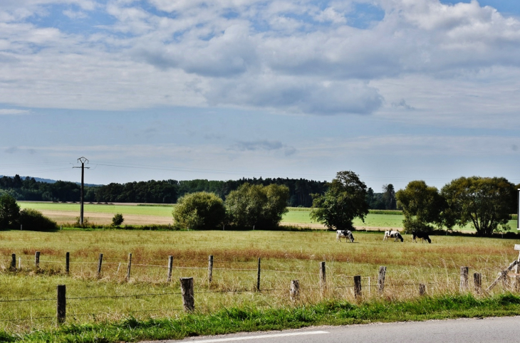 Paturages - Gugnécourt