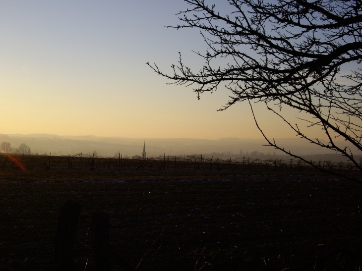 Le clocher vue du chemin des vignes - Hennecourt