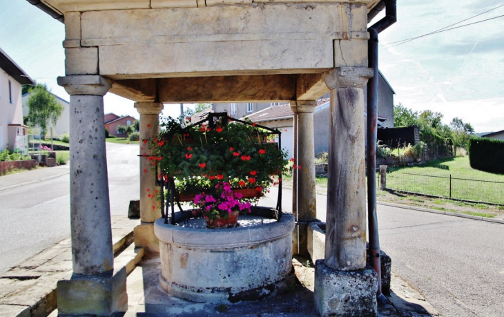 Fontaine - Hennecourt