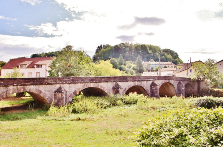 Pont sur la Moselle - Jarménil