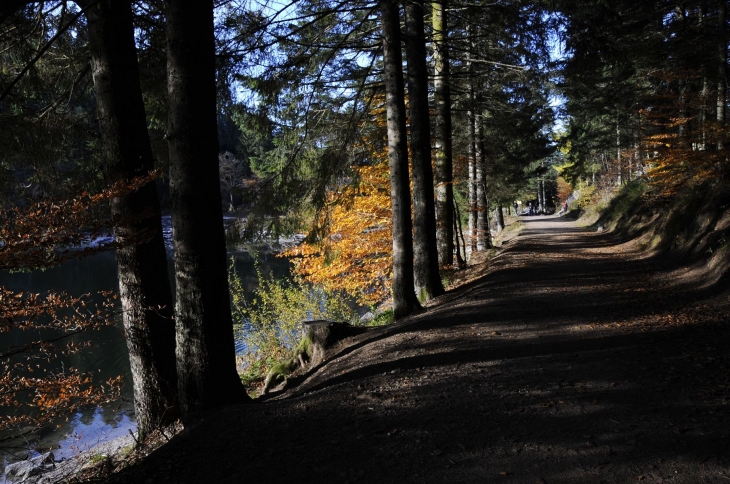 Tour du lac - La Bresse