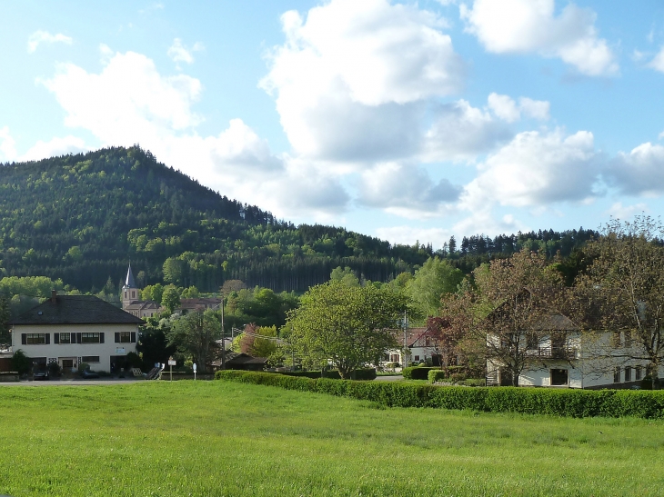 Vue sur le village - Le Saulcy