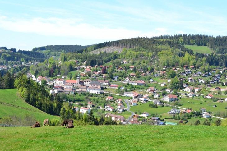 Le Tholy:panorama