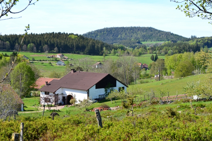 Ferme typique  - Le Tholy