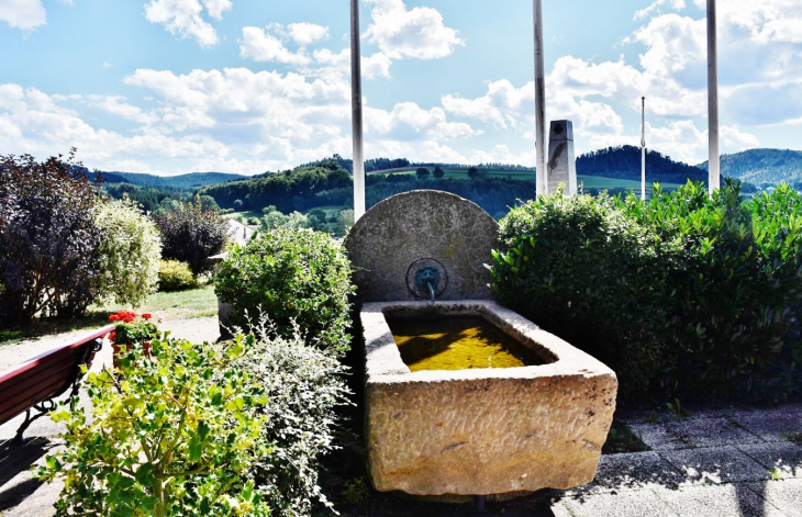 Fontaine - Lépanges-sur-Vologne