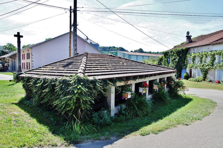 Le Lavoir - Les Ableuvenettes