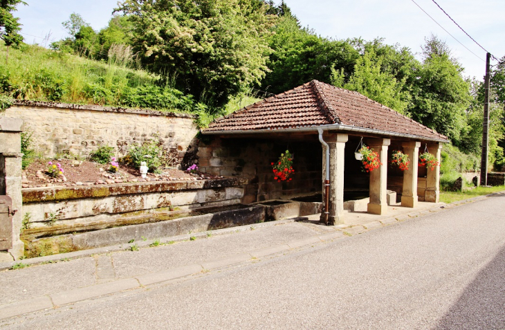 Lavoir - Marey