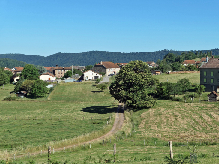 Vue sur le village - Ménil-de-Senones