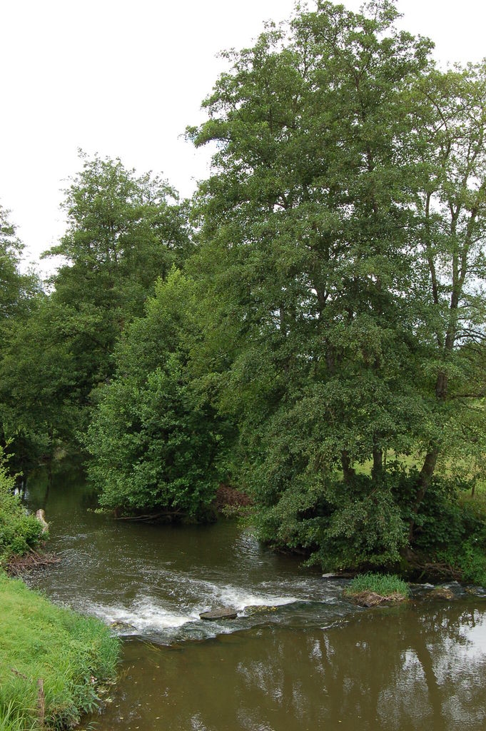 Proche pont des prussiens - Monthureux-sur-Saône