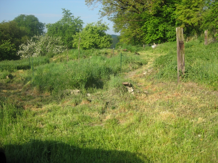 Jardin - Morizécourt