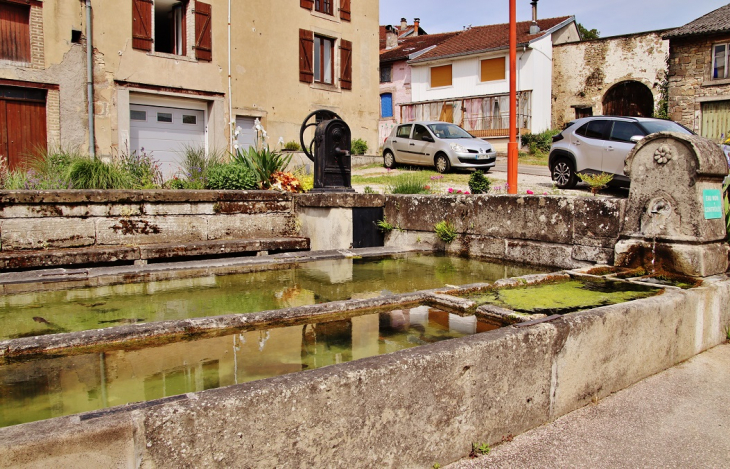 Lavoir - Morizécourt