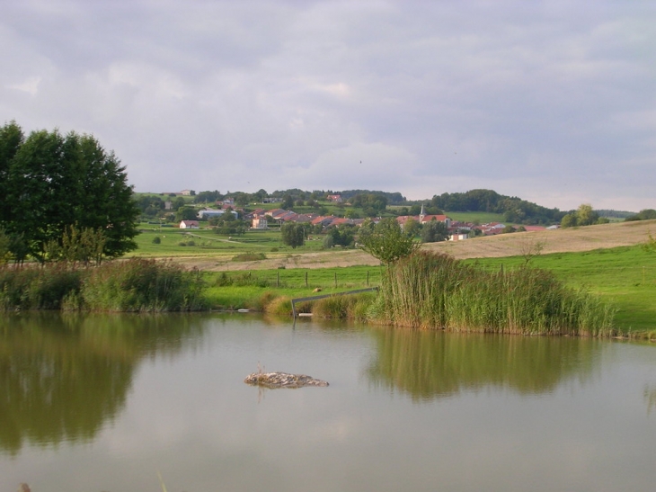 L'étang Grand clair  en retrait du village - Nonville