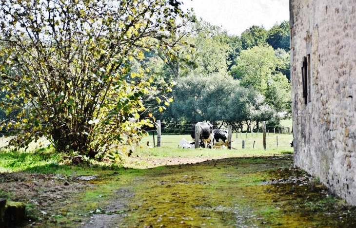 Paturages - Pierrepont-sur-l'Arentèle