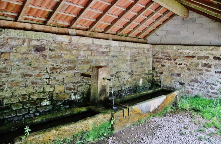 Le Lavoir - Plombières-les-Bains