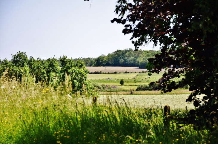 La Commune - Provenchères-lès-Darney