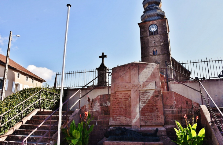 Monument-aux-Morts - Provenchères-sur-Fave