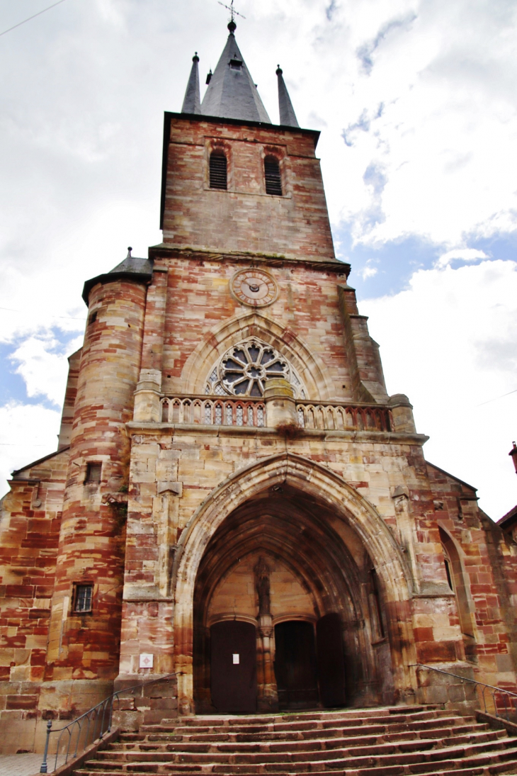 èglise Saint-Libaire - Rambervillers