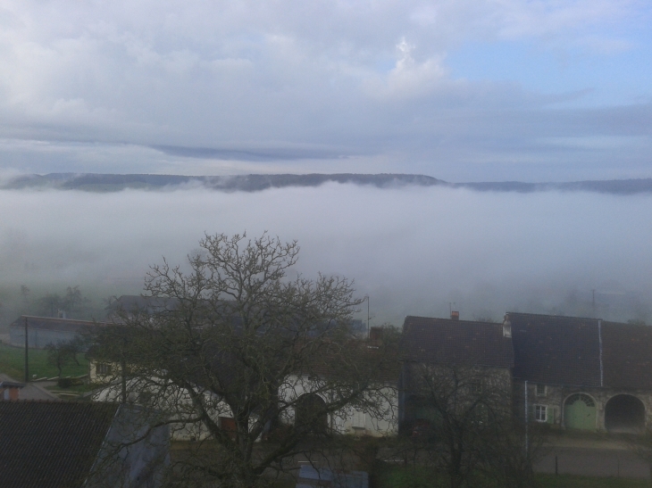 Robe de brouillard - Removille