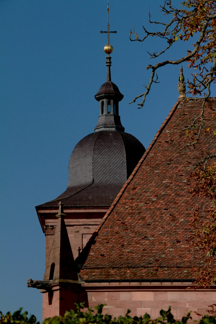 SAINT DIE des VOSGES  - www.baladesenfrance.info - Guy Peinturier - Saint-Dié-des-Vosges