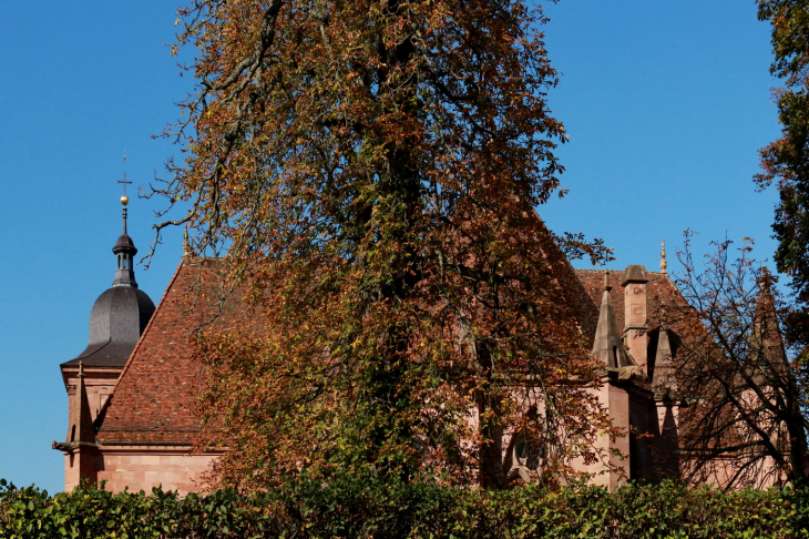 SAINT DIE des VOSGES  - www.baladesenfrance.info - Guy Peinturier - Saint-Dié-des-Vosges