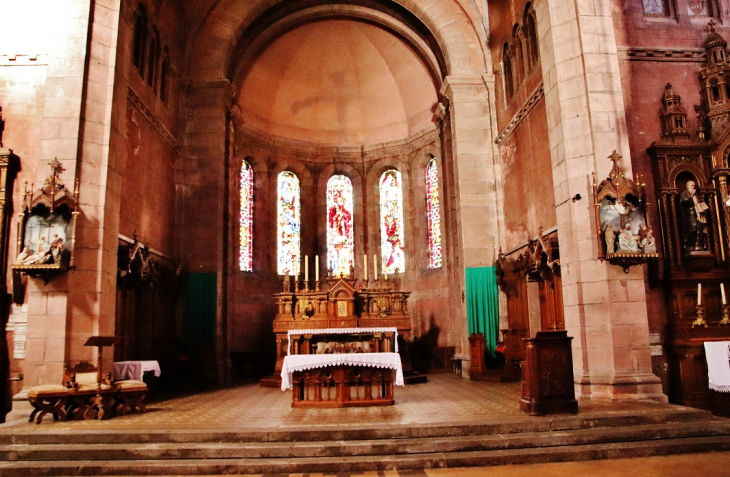  église Saint-Martin - Saint-Dié-des-Vosges