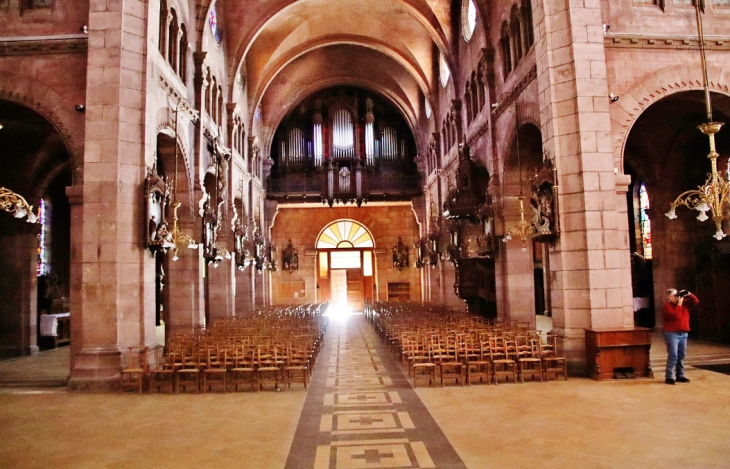  église Saint-Martin - Saint-Dié-des-Vosges