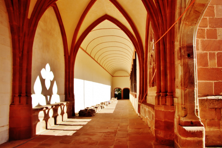 Cloître - Saint-Dié-des-Vosges