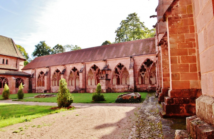 Cloître - Saint-Dié-des-Vosges